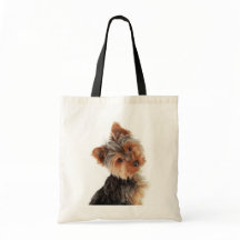 Yorkie Lover Chien Chien Chien Chien Cute Yorkshir