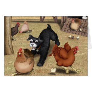 Toto chassant des poulets dans la cour