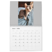 Toto Kitten (Mon secourt Feral Lady) Calendrier 20 (Mar 2026)
