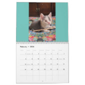 Toto Kitten (Mon secourt Feral Lady) Calendrier 20 (Feb 2026)