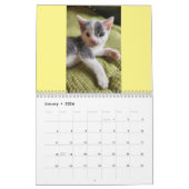 Toto Kitten (Mon secourt Feral Lady) Calendrier 20 (Jan 2026)