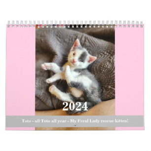 Toto Kitten (Mon secourt Feral Lady) Calendrier 20