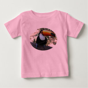 Toucan