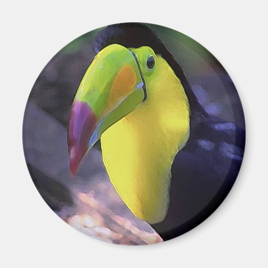 Toucan 1 magneet (Voorkant)