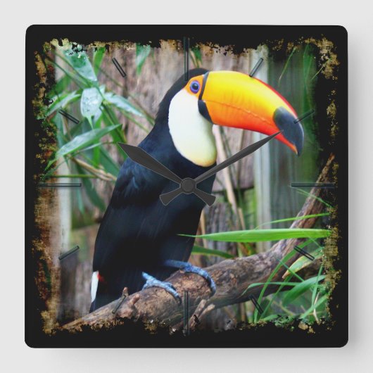 Toucan 5A Mur Horloges & Options Numériques (Recto)