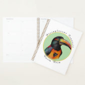 Toucan aquarelle (Devant avec enveloppe)