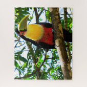 Toucan Bird Jigsaw Puzzle (Vertical)