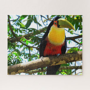 Toucan Bird Jigsaw Puzzle