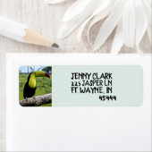 TOUCAN BIRD Return Address Labels (Insitu)