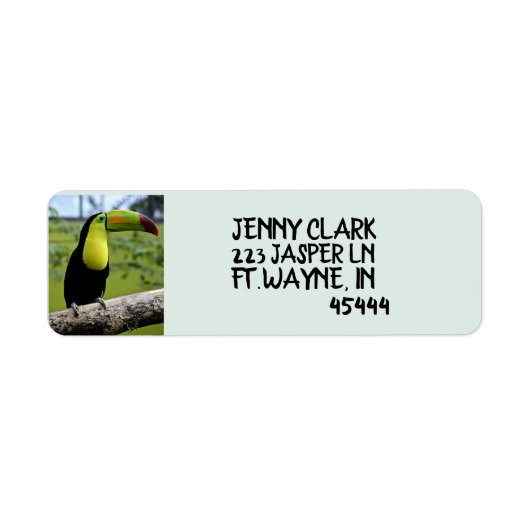 TOUCAN BIRD Return Address Labels (Voorkant)
