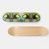 Toucan Bird Skateboard Toco (Horz)