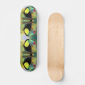 Toucan Bird Skateboard Toco (Recto)