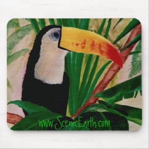 Toucan Bird Tropical Oerwoud Bird Muismat Art