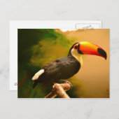 Toucan Briefkaart (Voorkant / Achterkant)