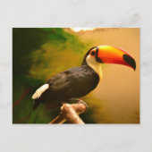 Toucan Briefkaart (Voorkant)