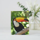 Toucan Briefkaart (Staand voorkant)