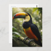 Toucan Briefkaart (Voorkant / Achterkant)