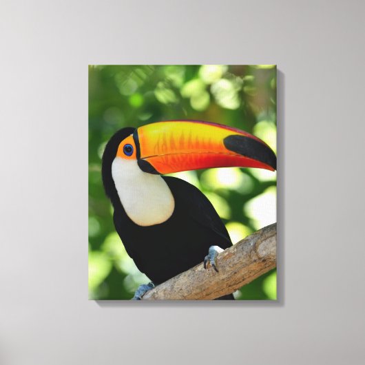 Toucan Canvas Afdruk (Voorkant)