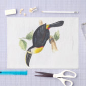 Toucan Decoupage Tissuepapier (Craft)