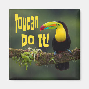 Toucan doet het! Colorful Bird Motivatie Funny Pun Magneet