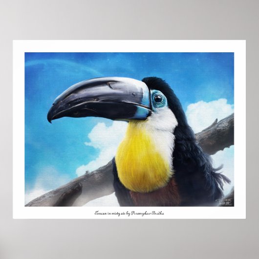 Toucan in misty air poster (Voorkant)
