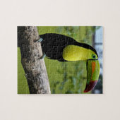 TOUCAN jigsaw puzzle (Horizontal)