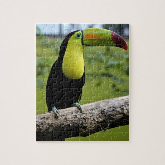 TOUCAN jigsaw puzzle (Vertical)