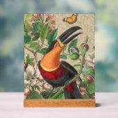 Toucan Jungle Tropical Bird Belle antique (Neutre)