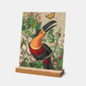 Toucan Jungle Tropical Bird Belle antique (Angle)
