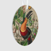 Toucan Jungle Tropical Bird Belle antique (devant)
