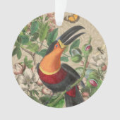 Toucan Jungle Tropical Bird Belle antique (devant)