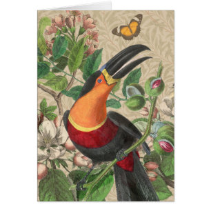 Toucan Jungle Tropical Bird Belle antique