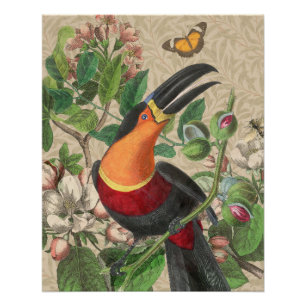 Toucan Jungle Tropische Vogel Mooie Antiek Perfect Poster