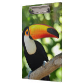 Toucan Klembord (Links)