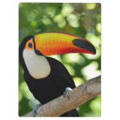 Toucan Klembord (Achterkant)