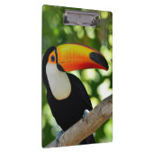 Toucan Klembord (Rechts)