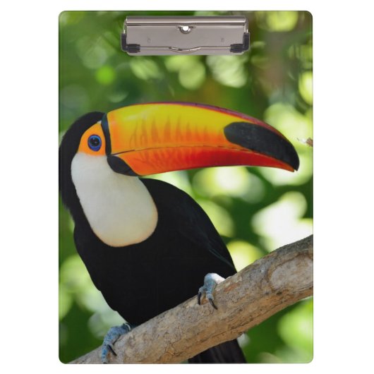 Toucan Klembord (Voorkant)