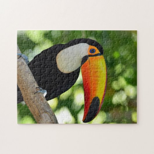 Toucan Legpuzzel (Horizontaal)