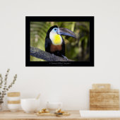 Toucan met kanaalvulling poster (Keuken)