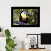 Toucan met kanaalvulling poster (Thuiskantoor)