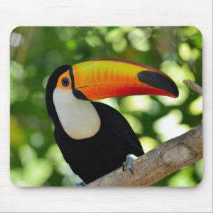 Toucan Muismat