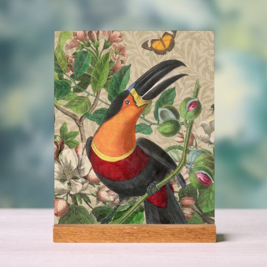 Toucan Oerwoud Tropical Bird Mooi Antiek Acryl Bord (Neutraal)