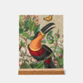 Toucan Oerwoud Tropical Bird Mooi Antiek Acryl Bord (Voorkant)