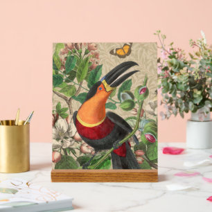 Toucan Oerwoud Tropical Bird Mooi Antiek Acryl Bord