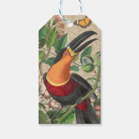 Toucan Oerwoud Tropical Bird Mooi Antiek Cadeaulabel (Voorkant)