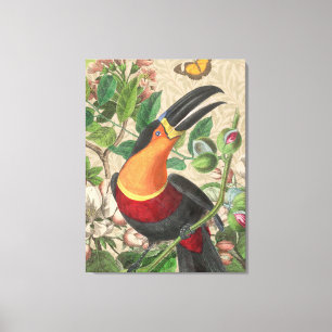 Toucan Oerwoud Tropical Bird Mooi Antiek Canvas Afdruk