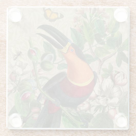 Toucan Oerwoud Tropical Bird Mooi Antiek Glazen Onderzetter (Achterkant)