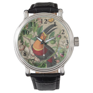 Toucan Oerwoud Tropical Bird Mooi Antiek Horloge