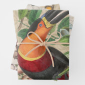 Toucan Oerwoud Tropical Bird Mooi Antiek Inpakpapier Vel (In situ)