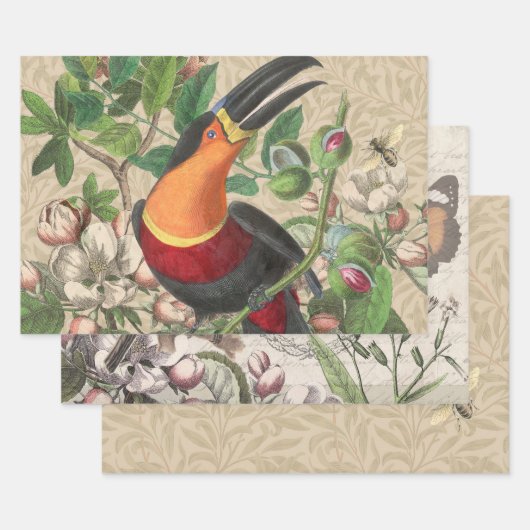 Toucan Oerwoud Tropical Bird Mooi Antiek Inpakpapier Vel (Set)